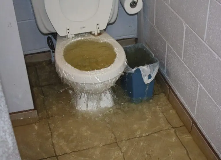 Category 3 black water sewage backup cleanup in a Pomona, CA bathroom